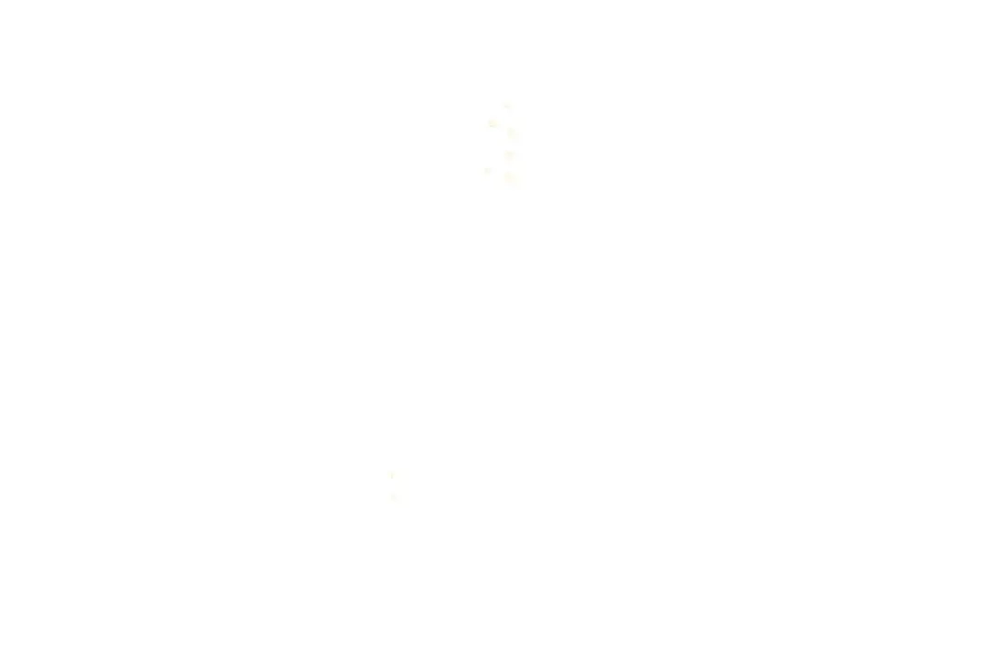 第273页