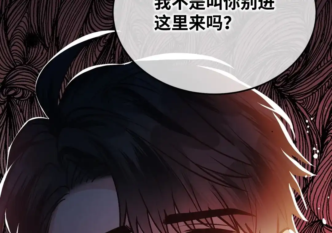 第255页