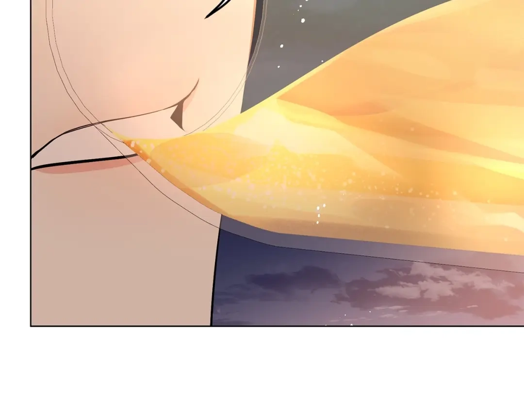 第217页