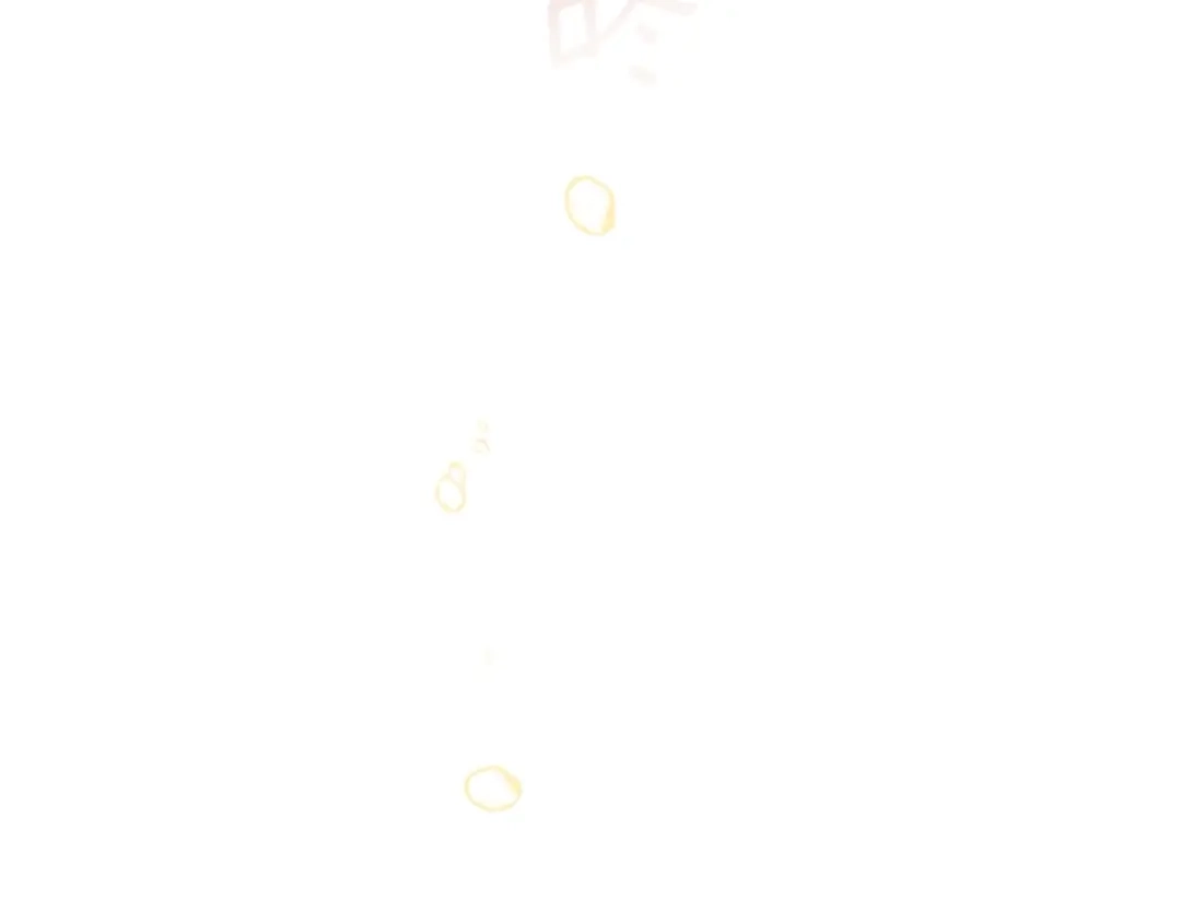 第219页