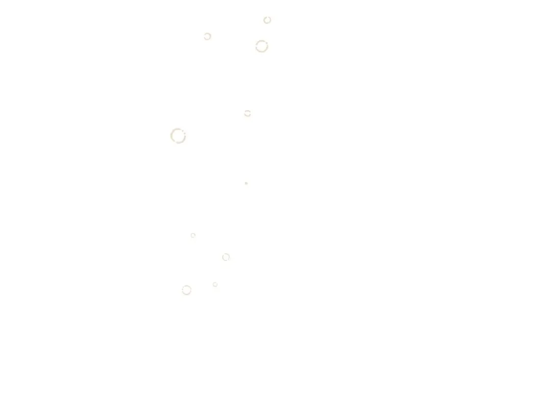 第278页
