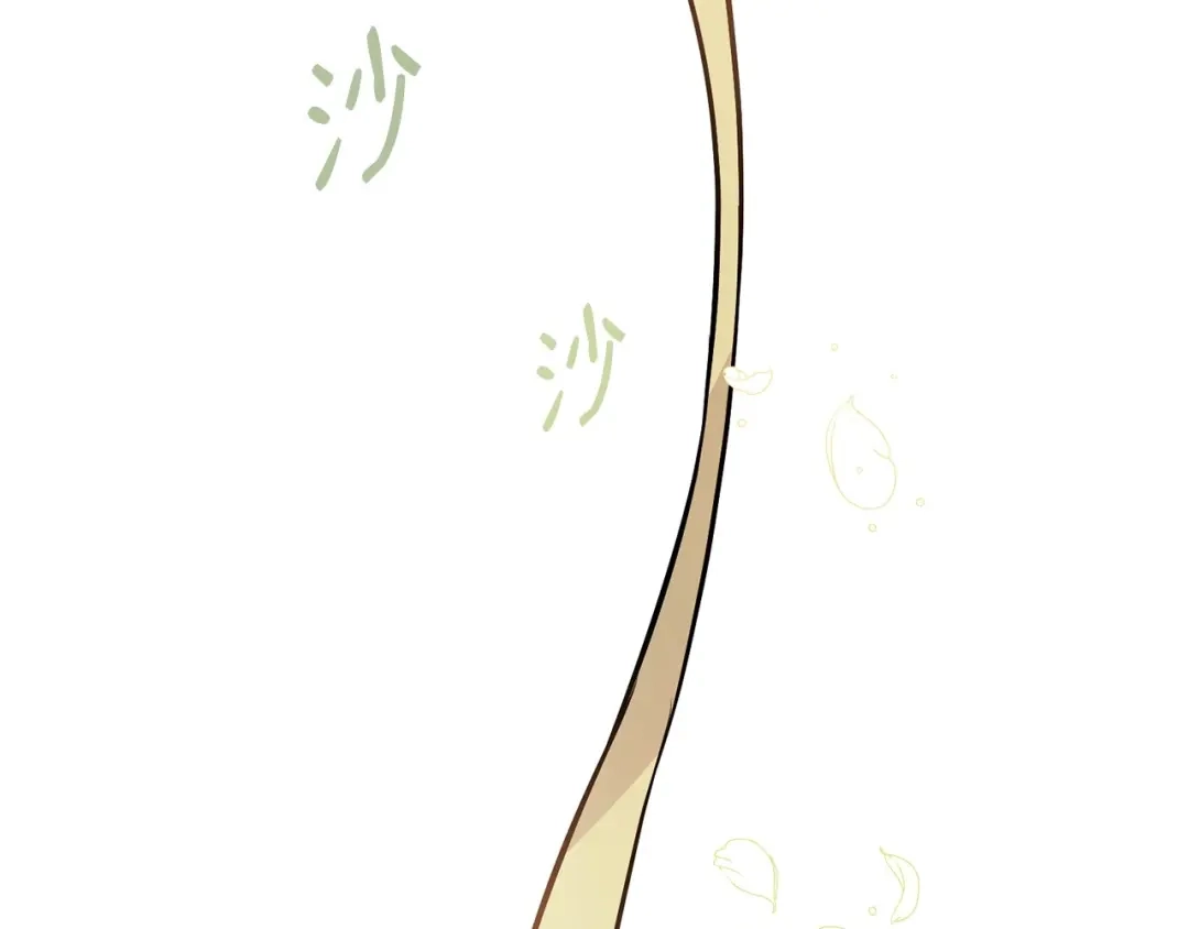 第244页