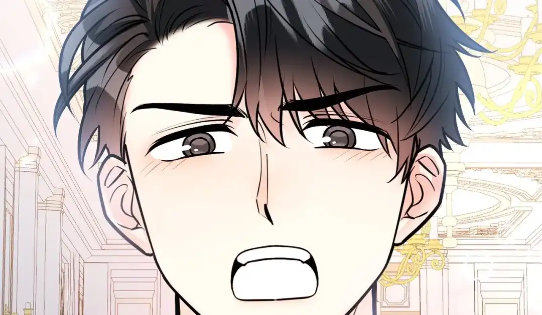 第233页
