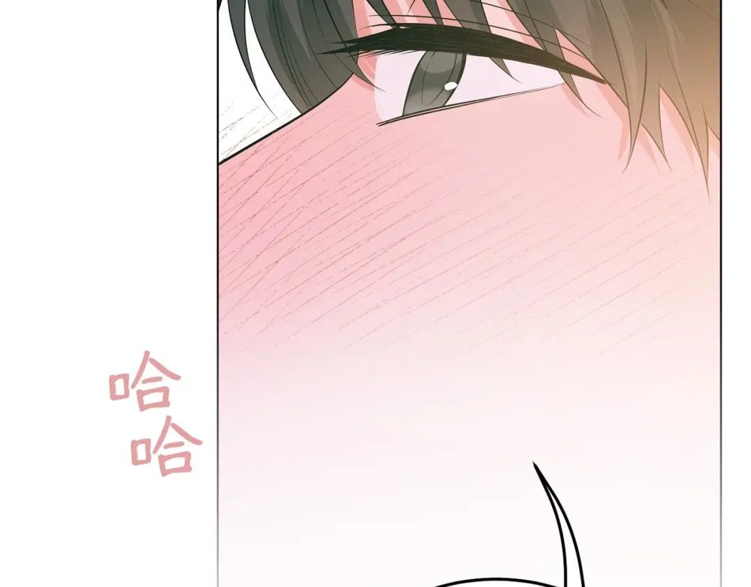 第215页
