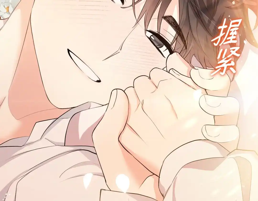 第242页