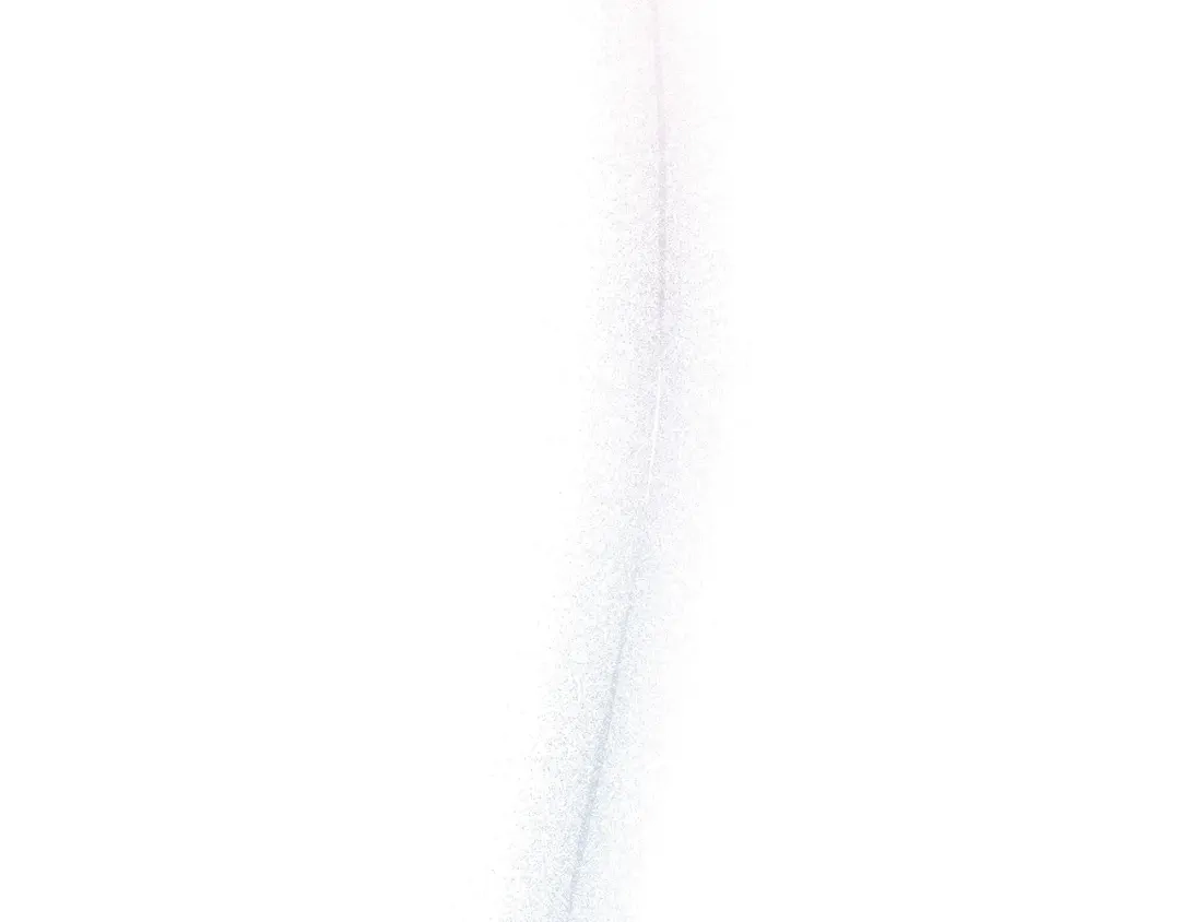 第248页