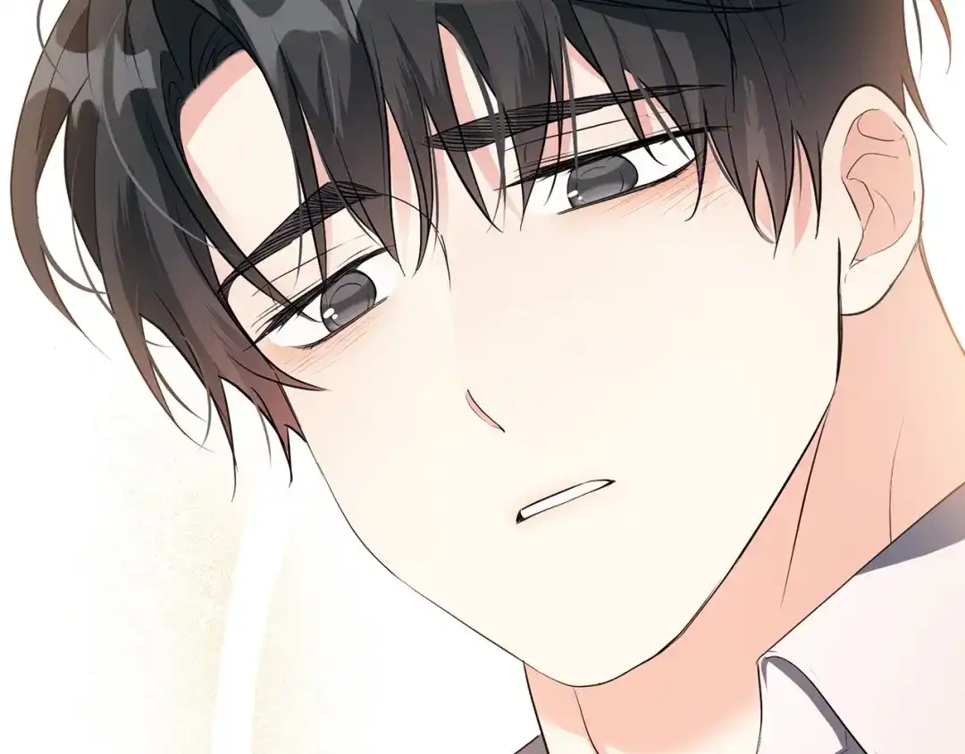 第236页