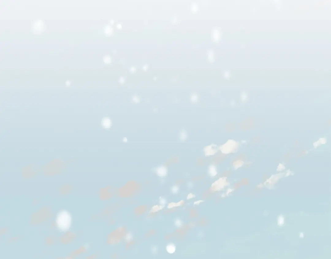 第244页