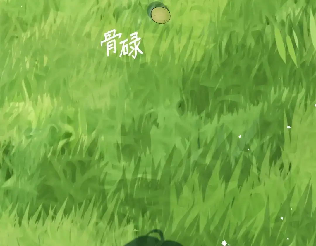 第260页