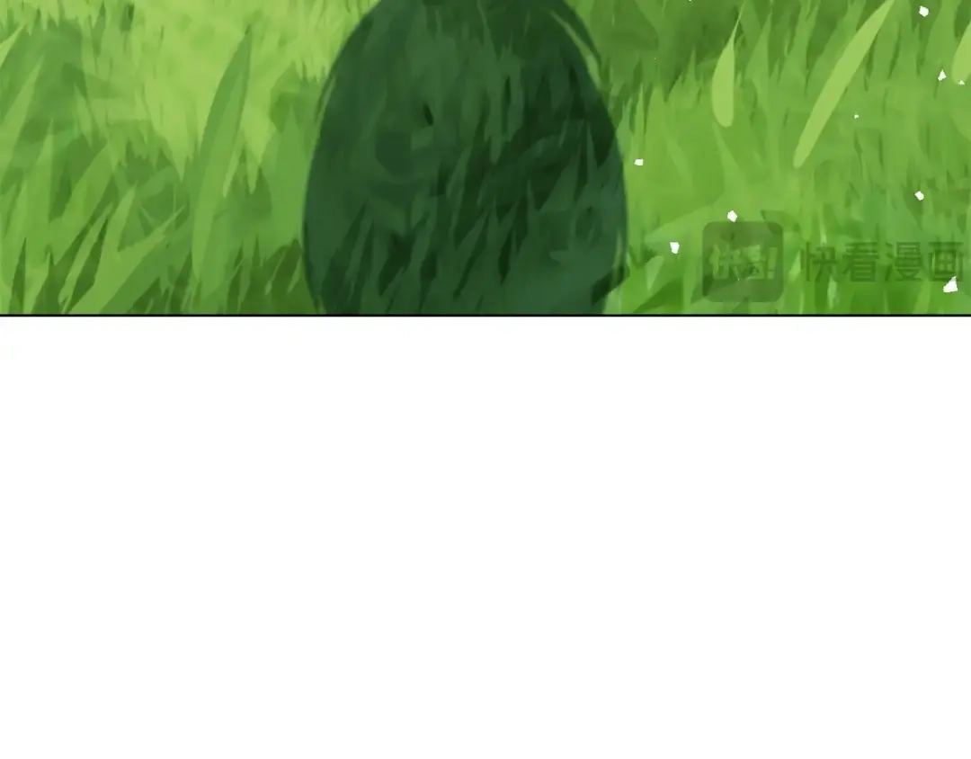 第261页