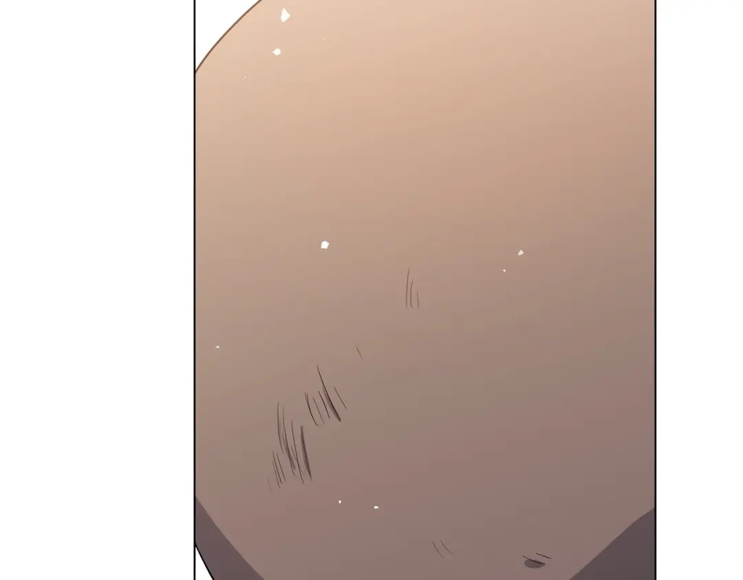 第291页