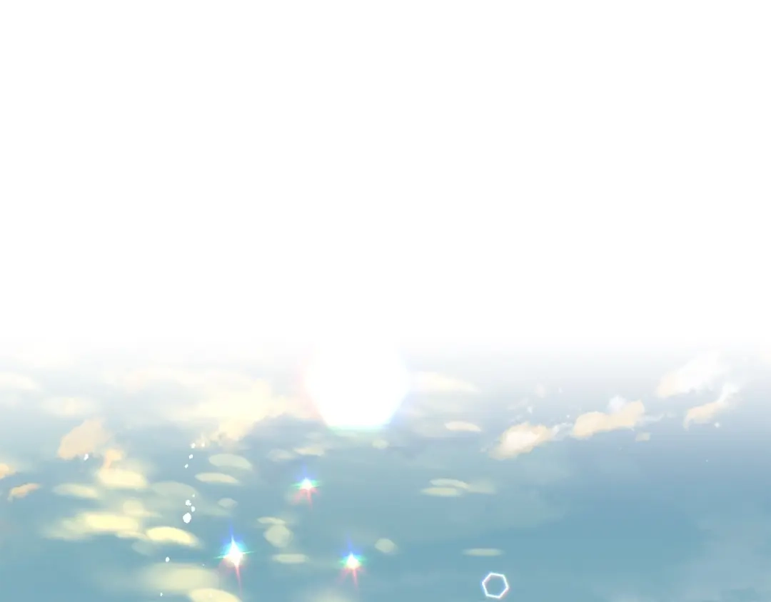 第206页
