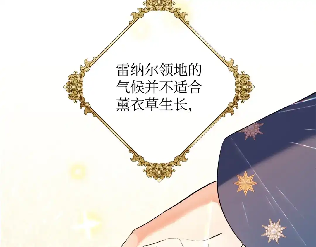 第236页