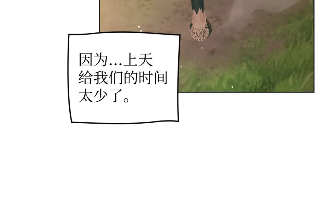 第242页