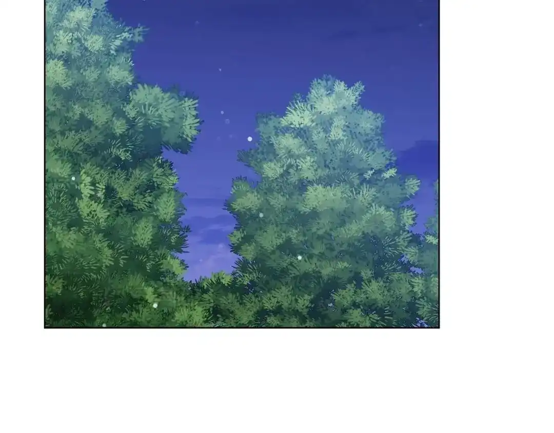 第246页