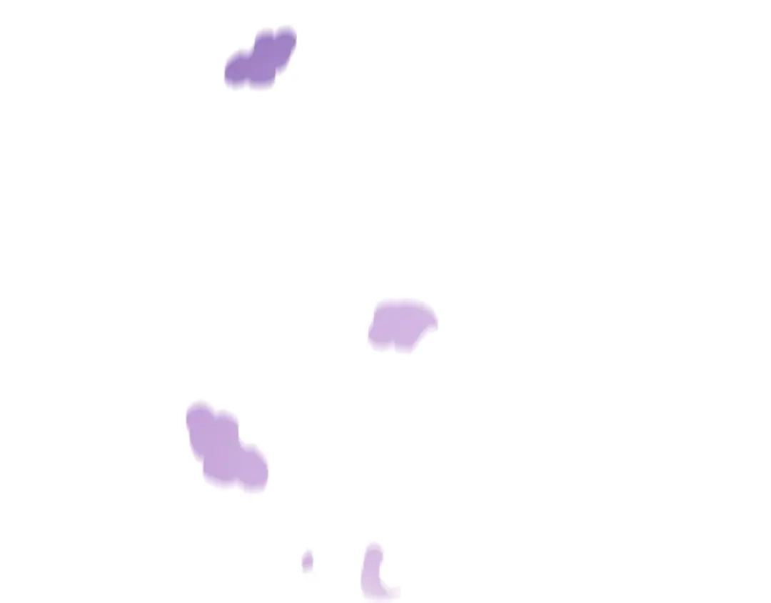 第275页