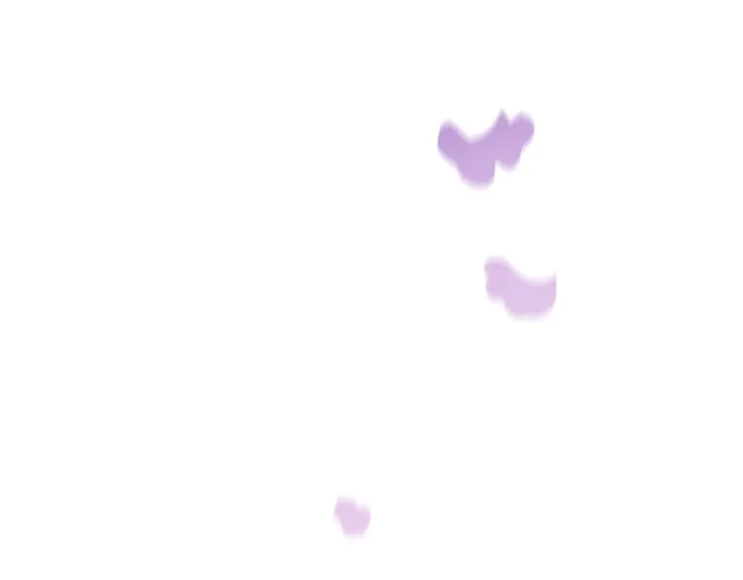 第285页