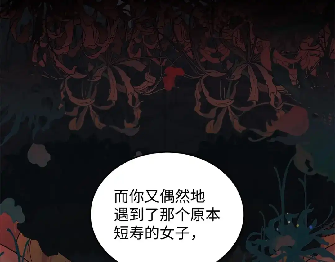 第241页