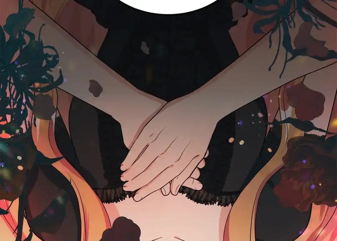 第242页