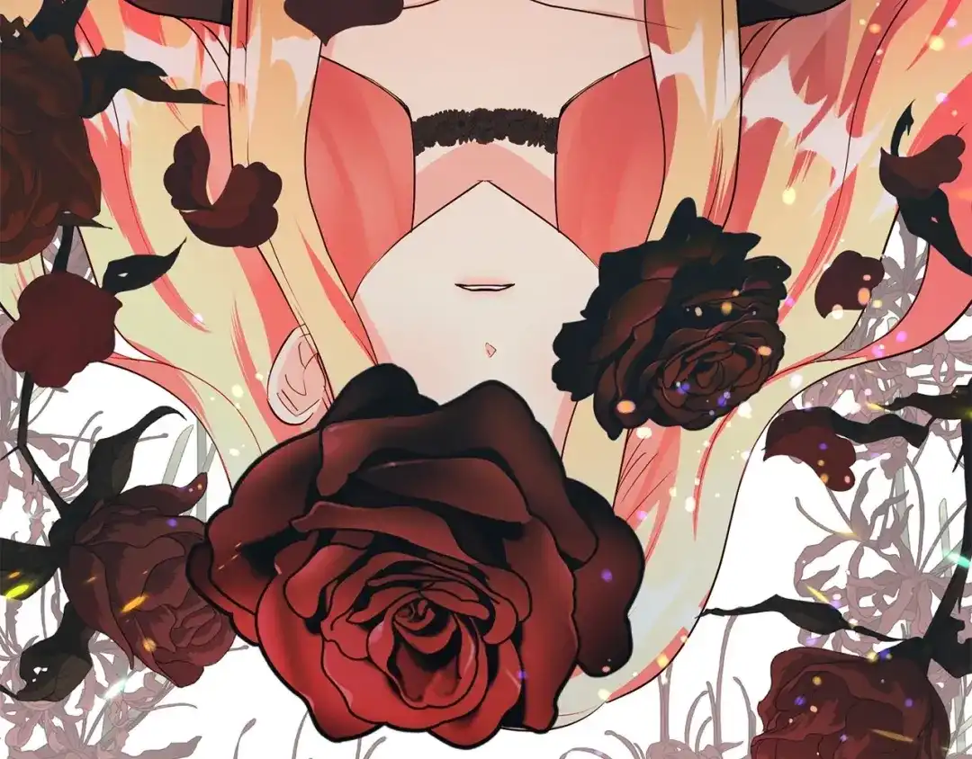 第243页