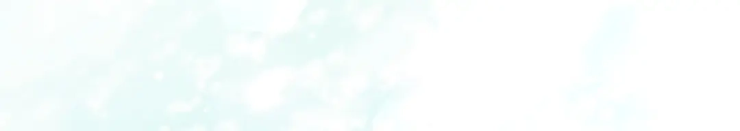 第223页