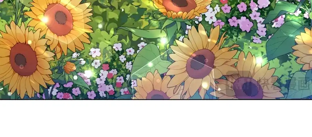 第229页