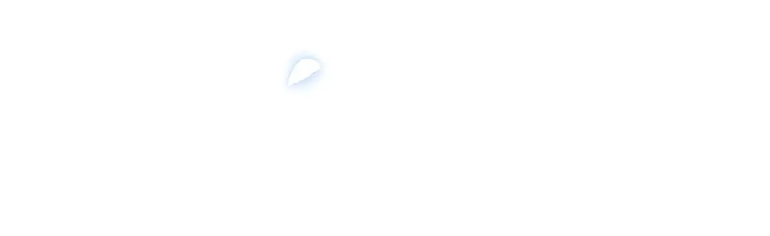 第221页