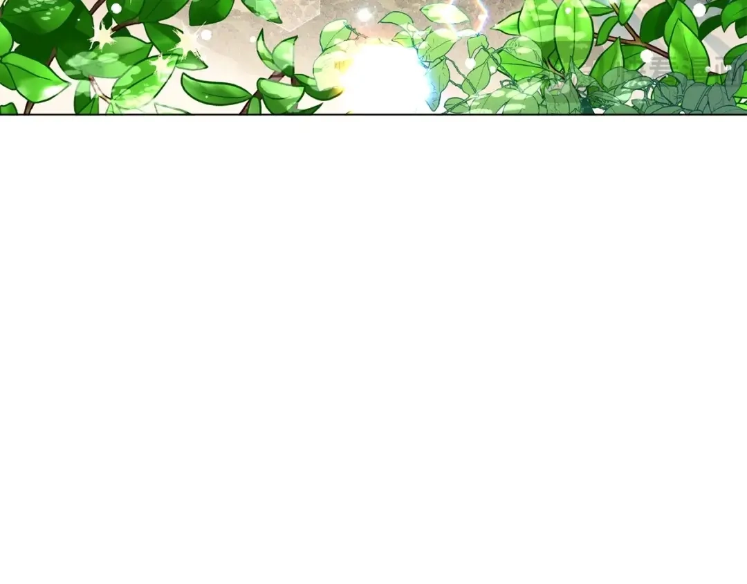 第259页