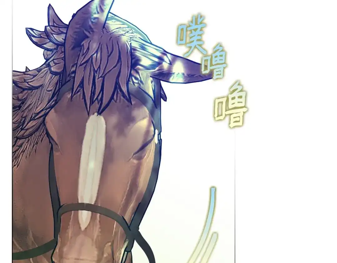 第211页
