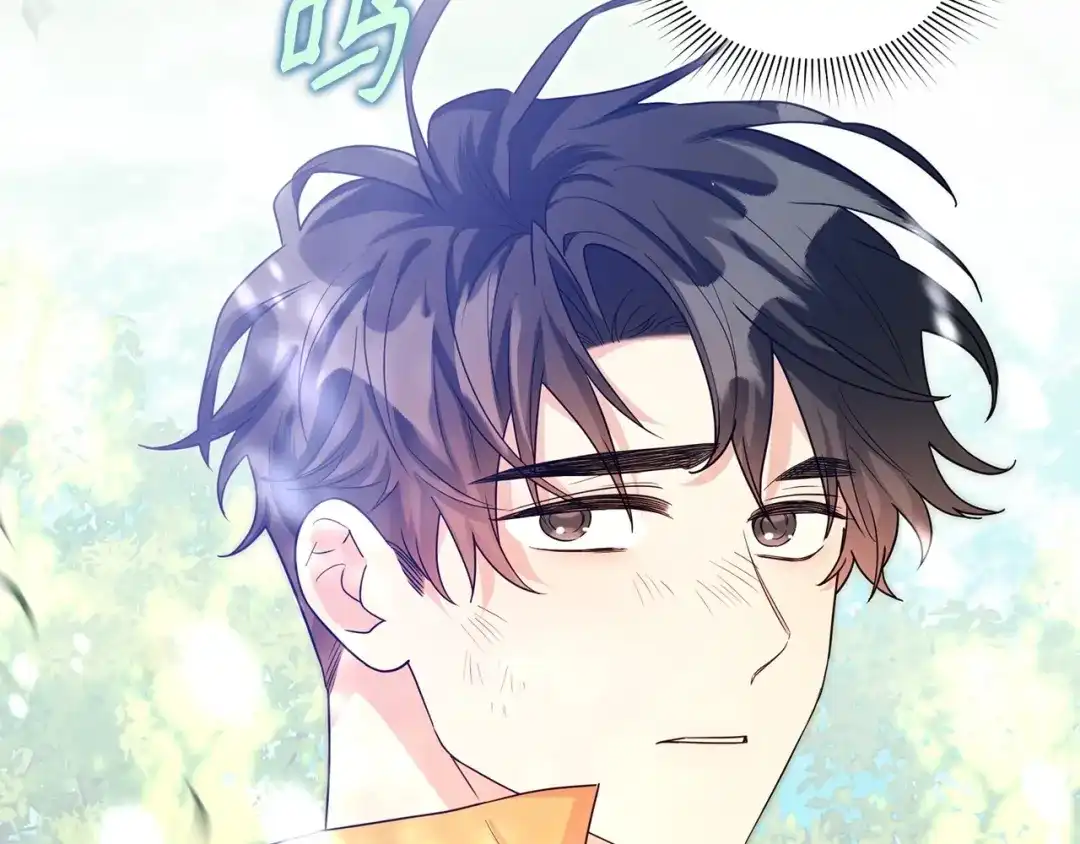 第217页