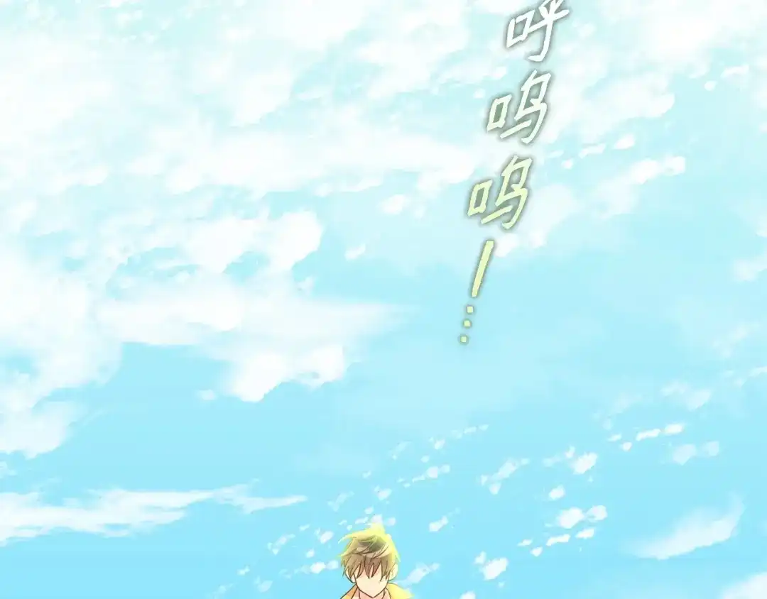 第223页