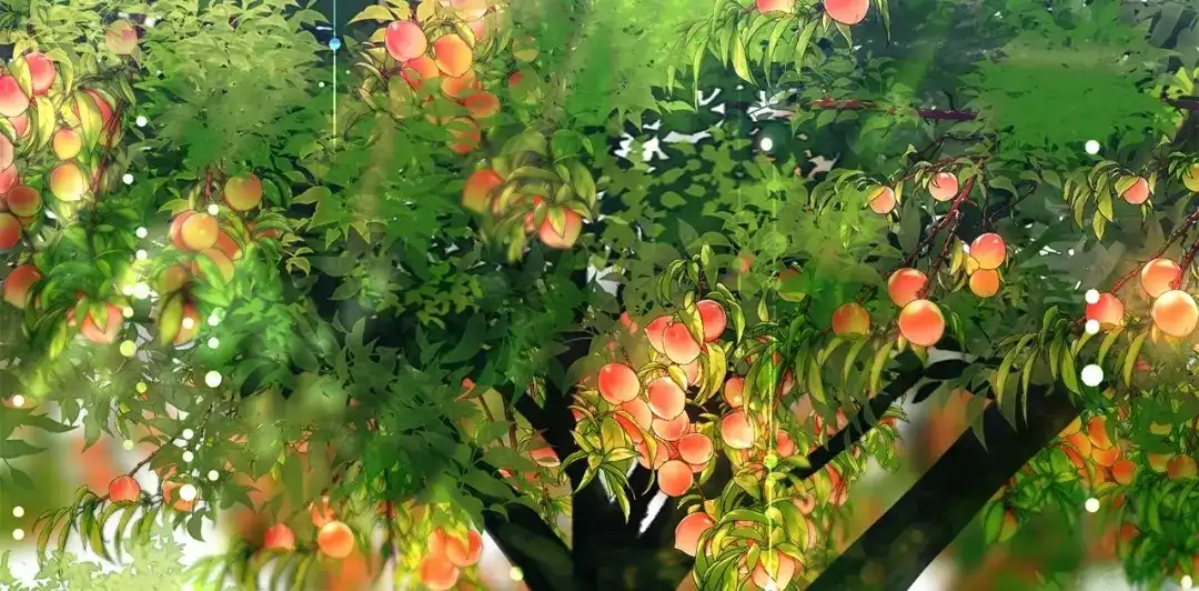 第124页