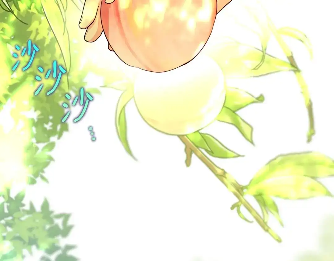 第251页