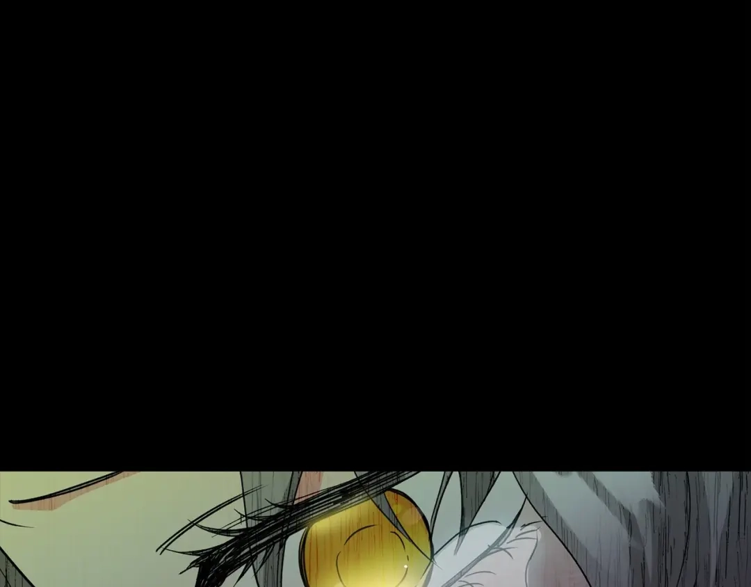 第264页