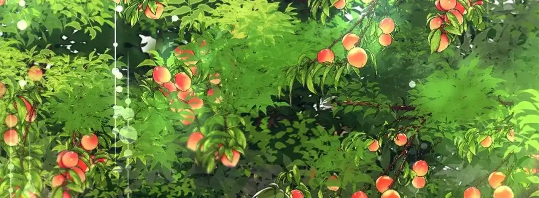 第137页