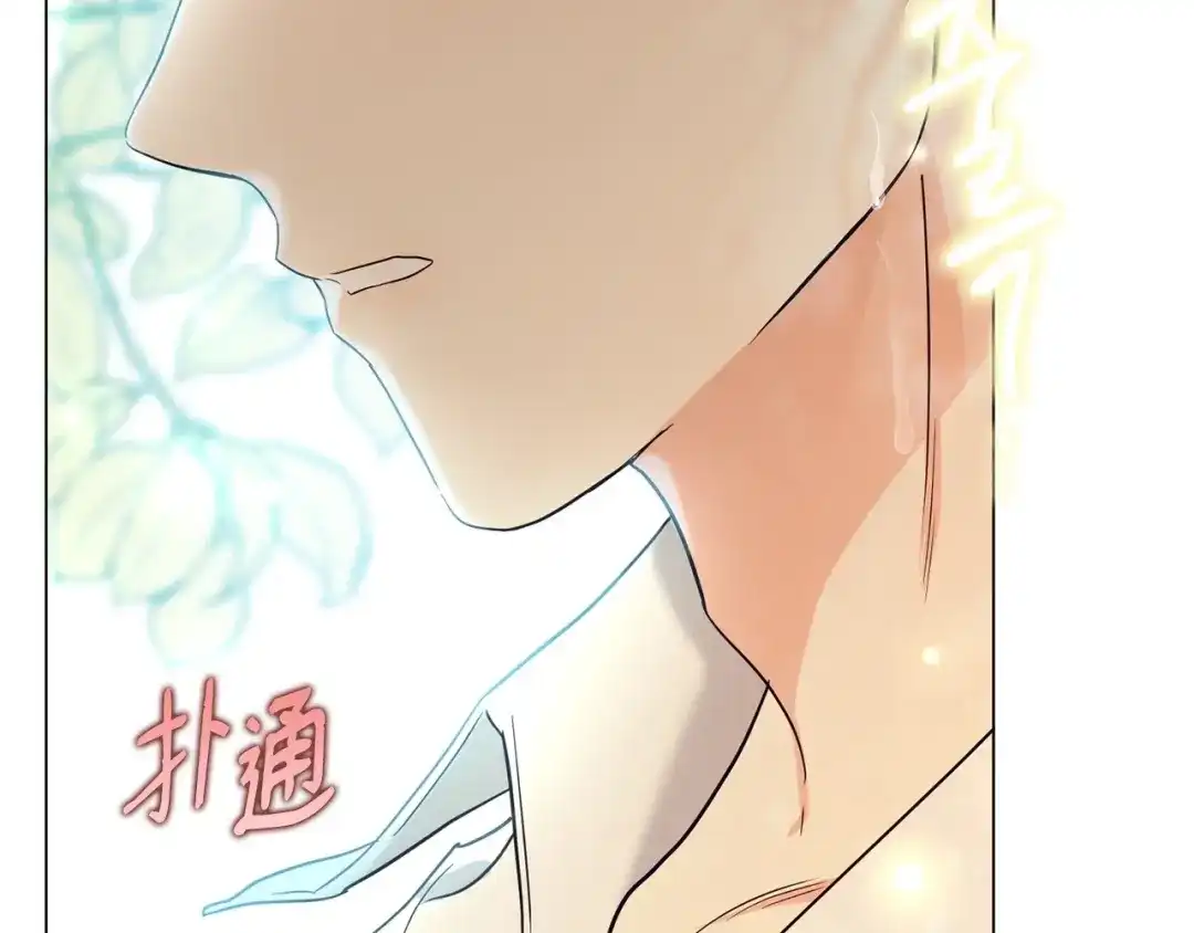 第217页