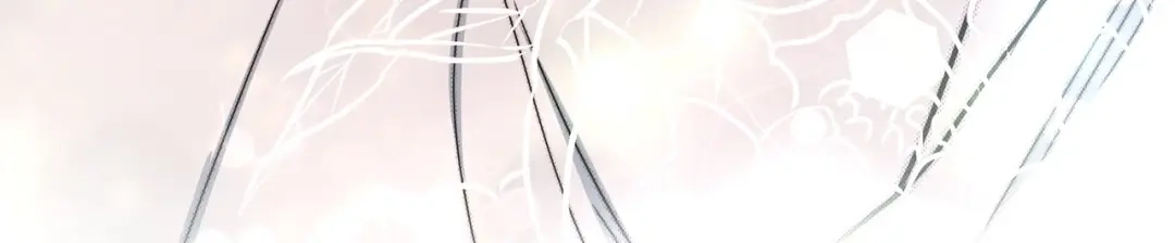 第248页