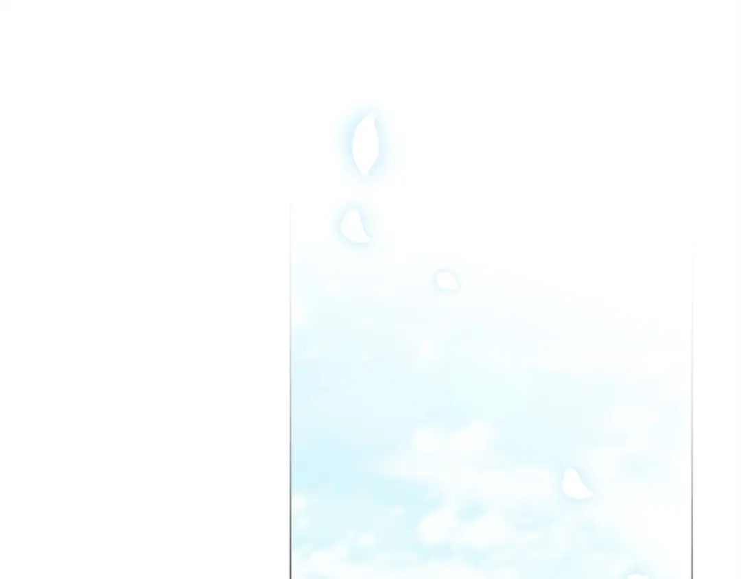 第255页