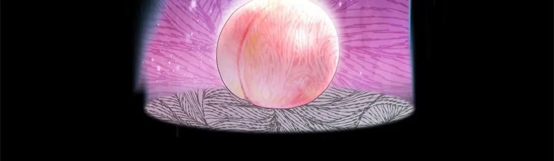 第269页