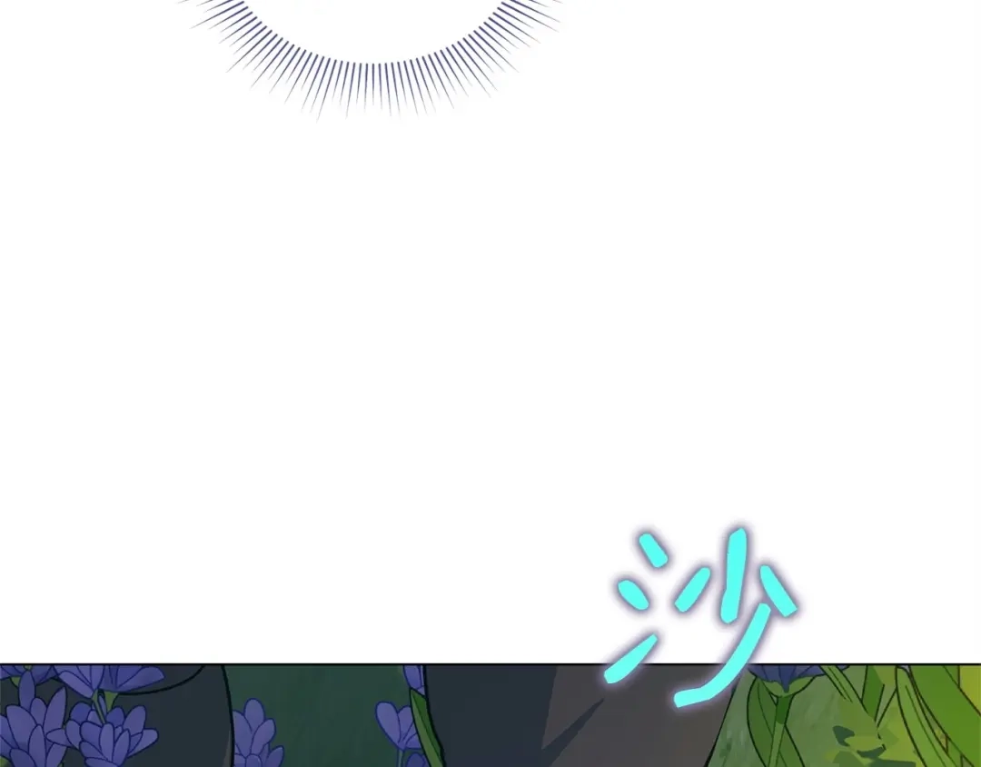 第365页