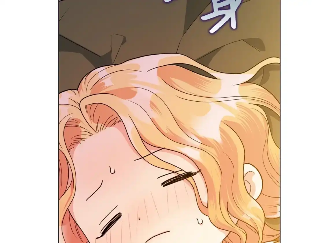 第427页