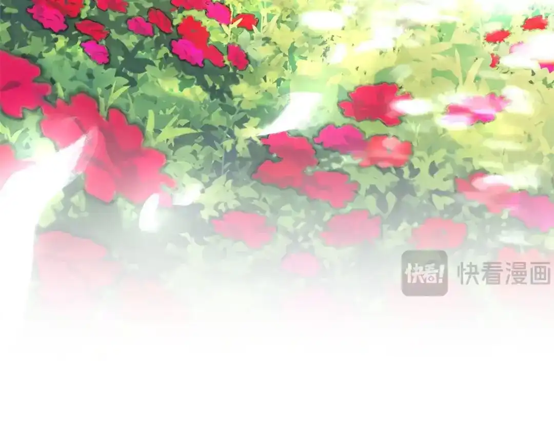 第808页
