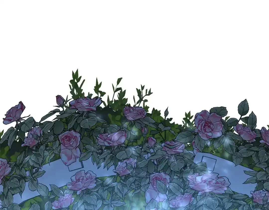 第240页