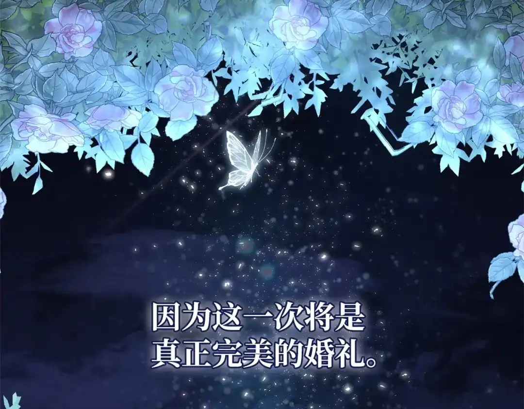 第242页