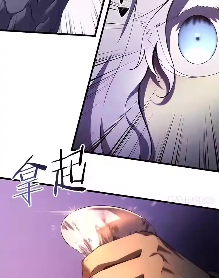 第223页
