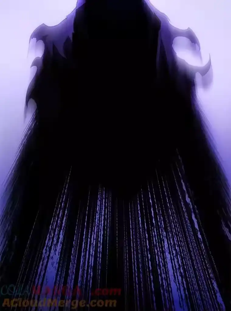 第217页