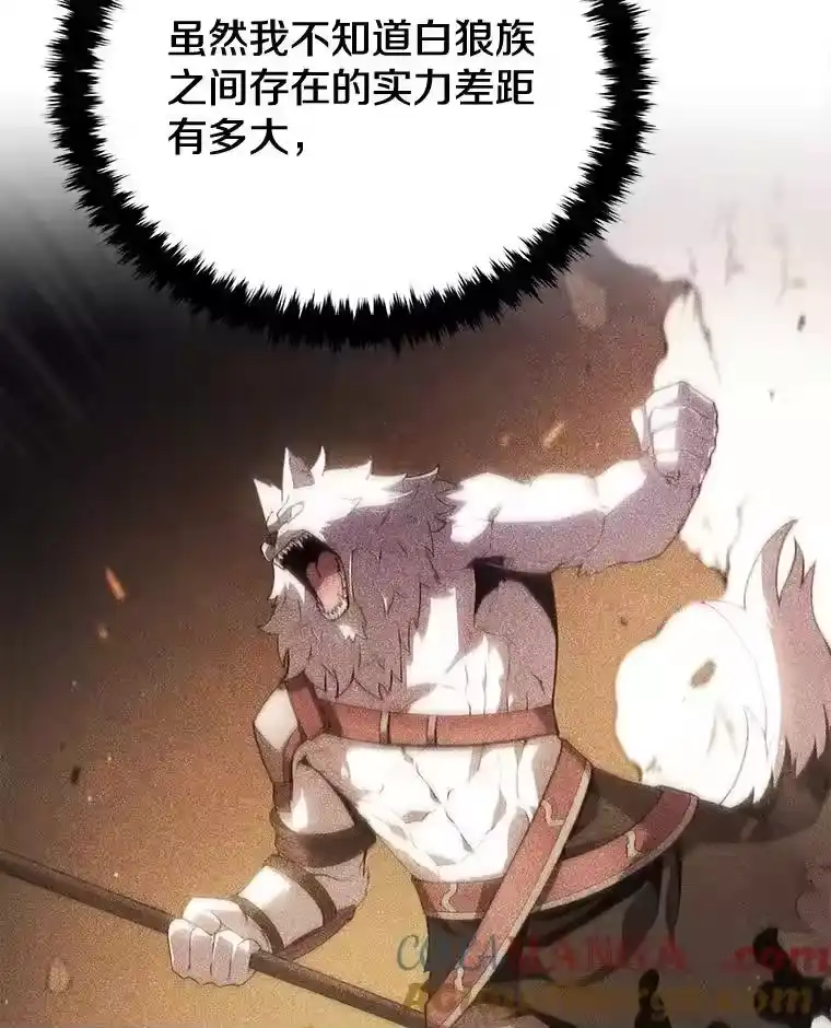 第241页