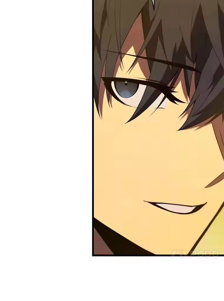 第243页