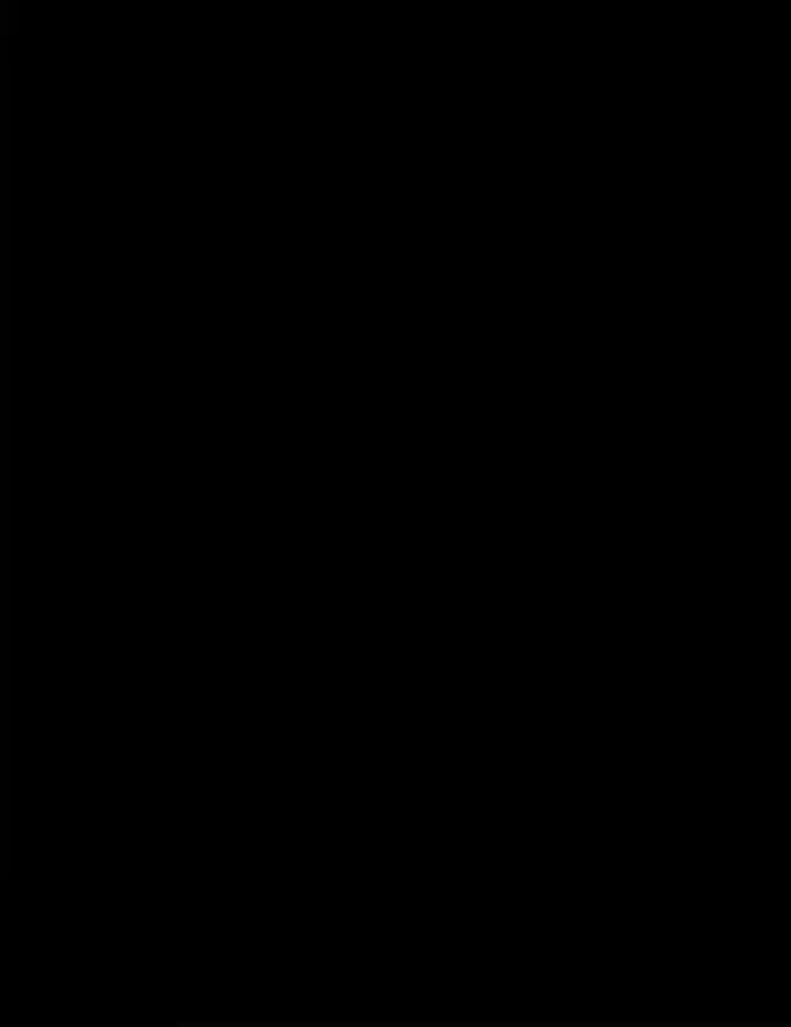第293页