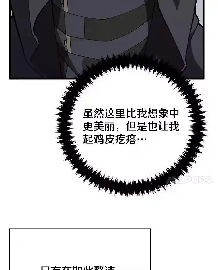 第246页